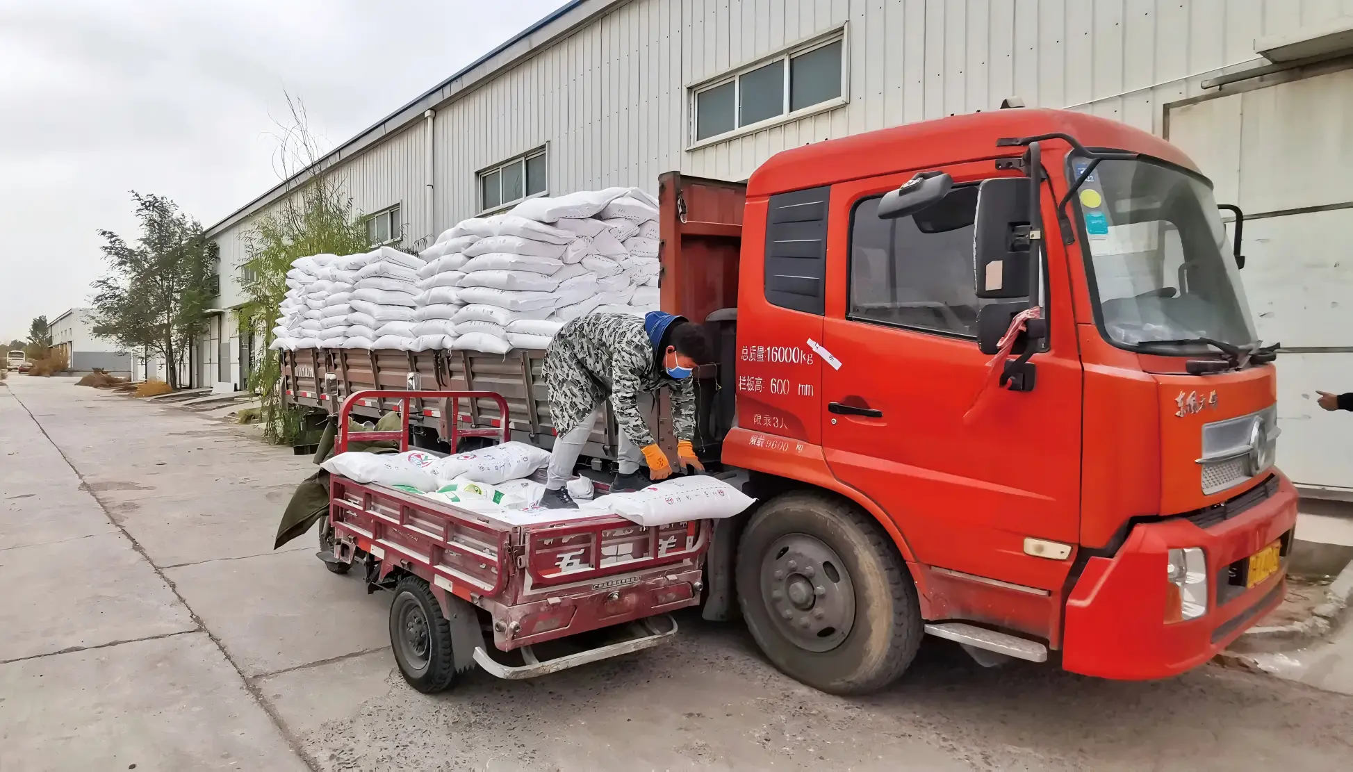 f2e93daf54264896baeede058cd36cb4 (1).webp